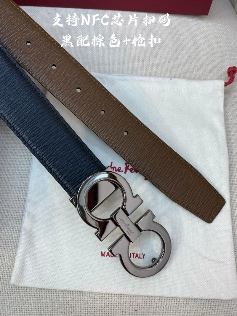MultiPurpose Ferragamo Belts 286399