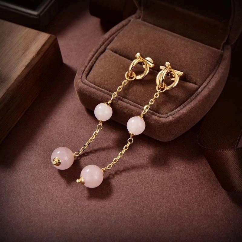 WrinkleFree Ferragamo Earrings 213953