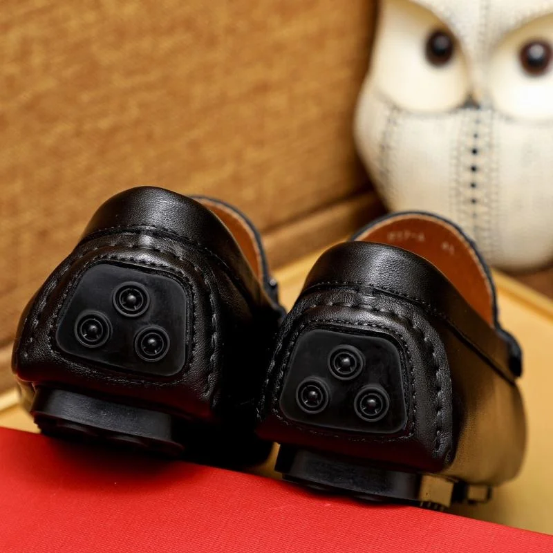 Stylish Ferragamo Shoes 4696