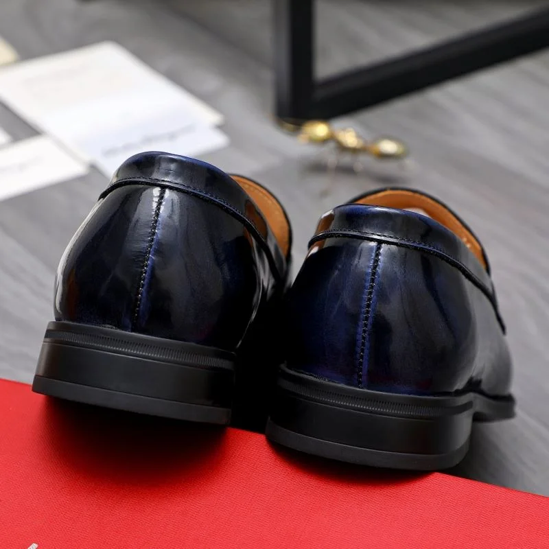 GoAnywhere Ferragamo Shoes 14446