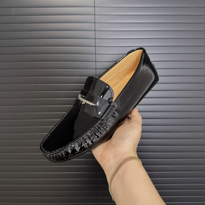 EyeCatching Ferragamo Shoes 14407