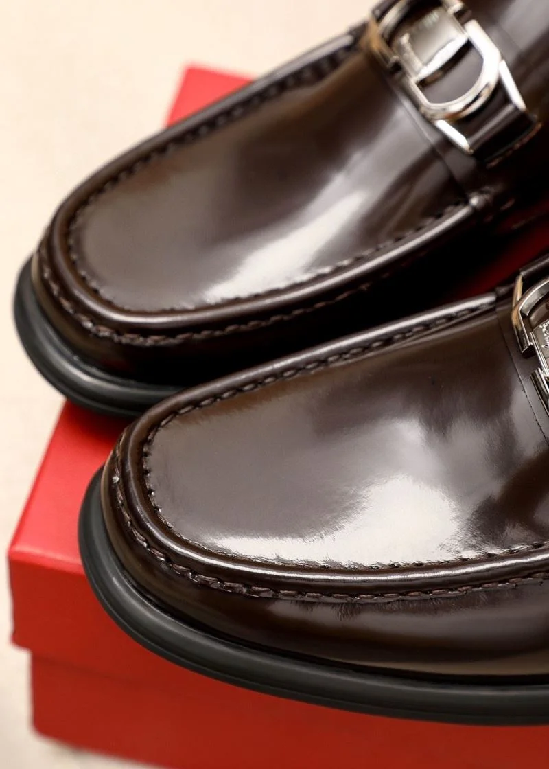 WrinkleFree Ferragamo Shoes 14226