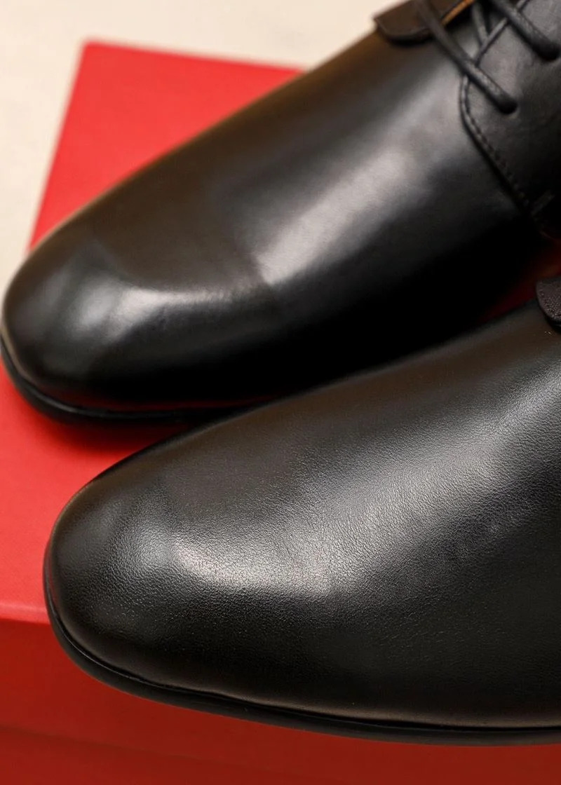 EyeCatching Ferragamo Shoes 14143