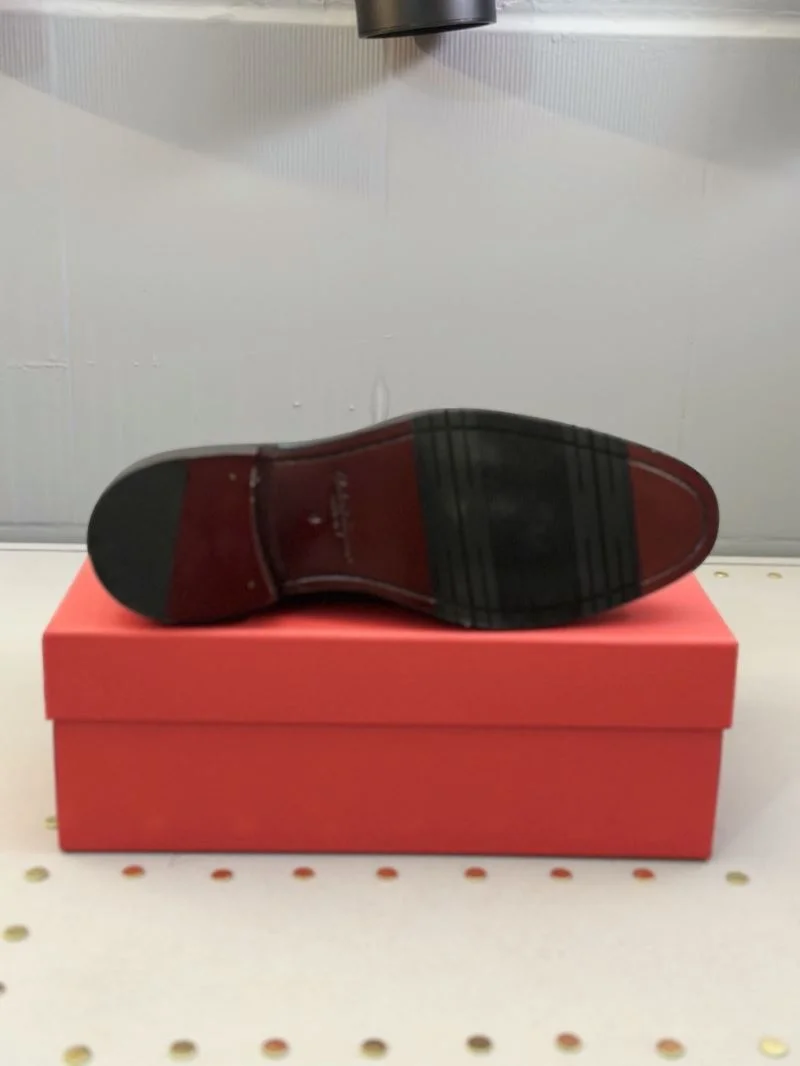 Youthful Ferragamo Shoes 6520