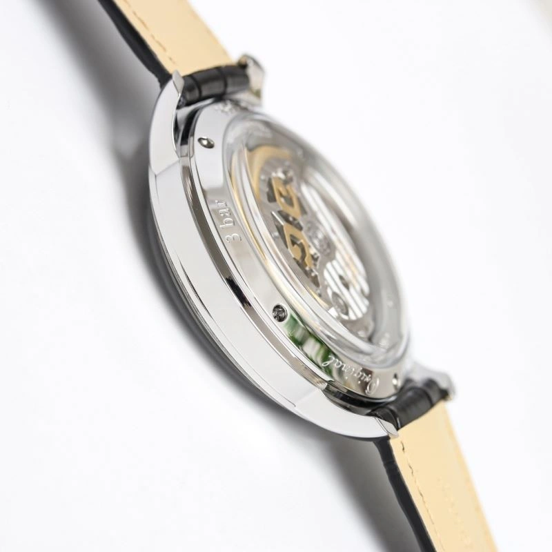SunProtective GLASHUTTE Watches 182692