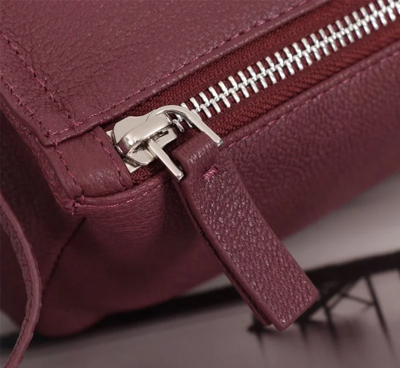Effortless Givenchy Pandora Bags 44773