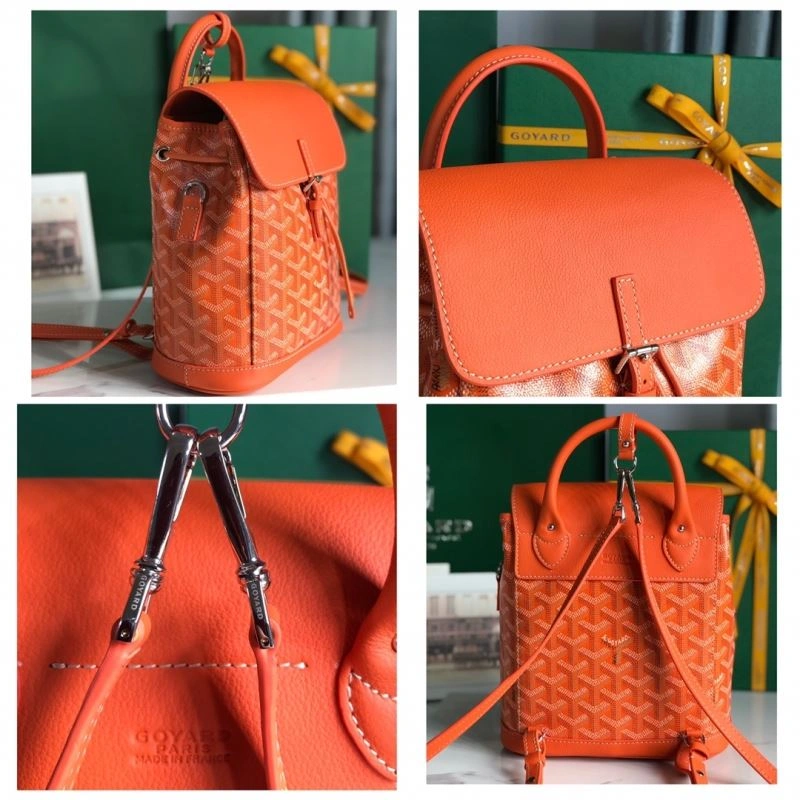 Goyard Backpacks Flexible 59216