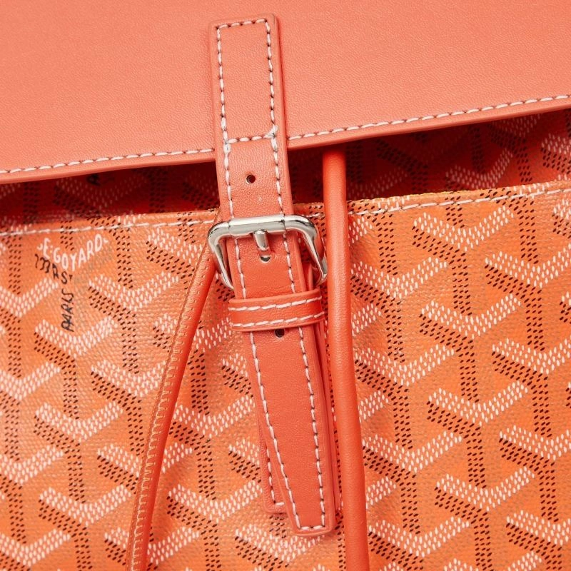 Goyard Backpacks SmartChoice 86098