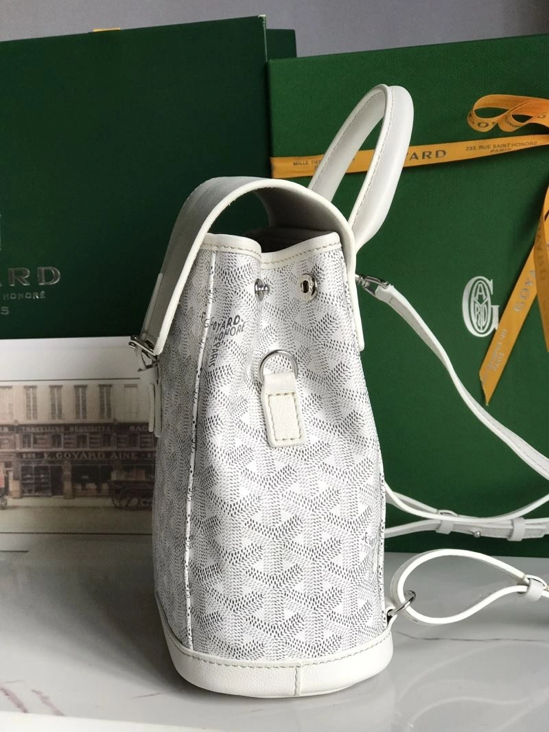 Goyard Backpacks SmartChoice 62034