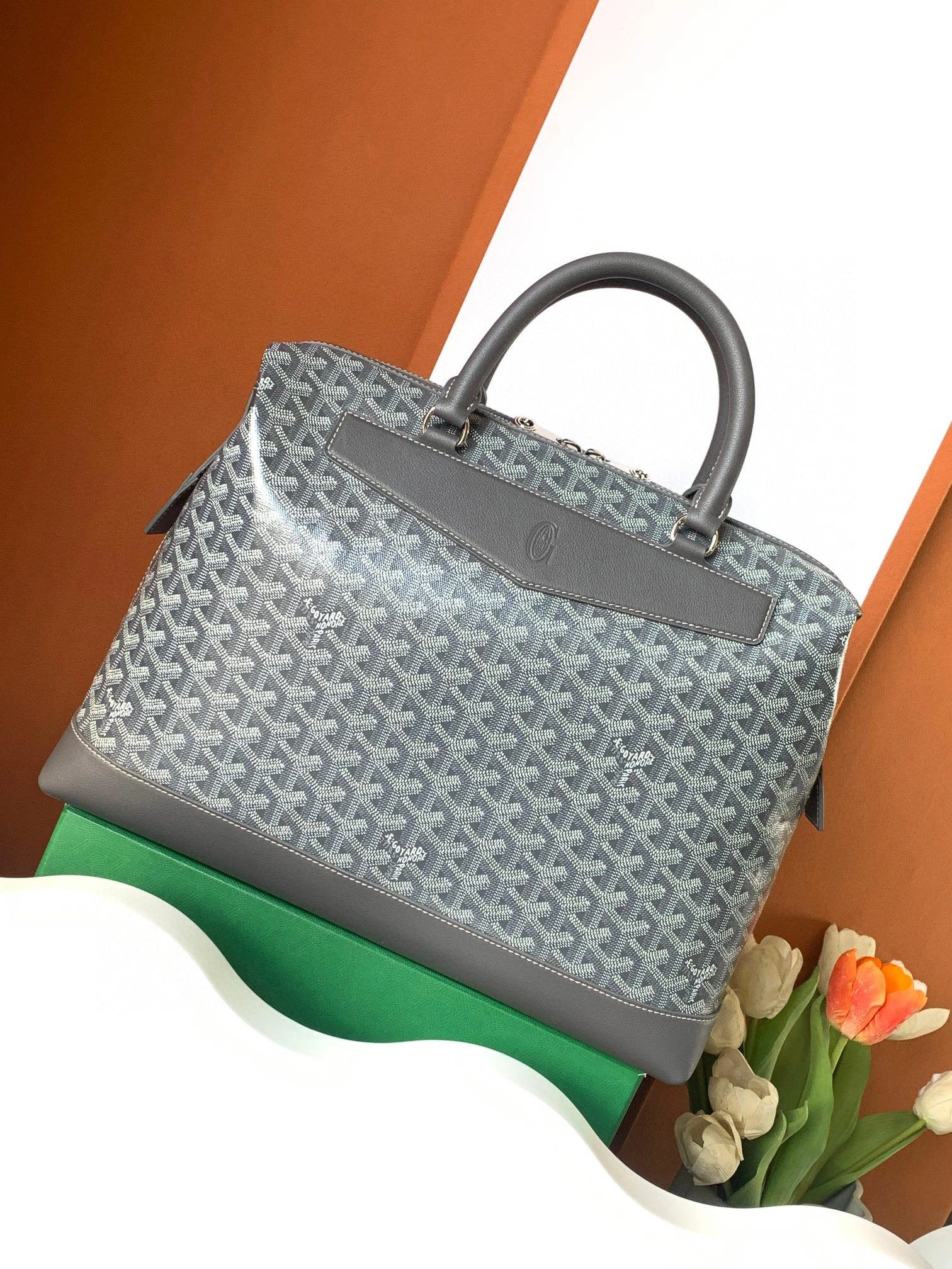 Goyard Briefcases Supportive 65110
