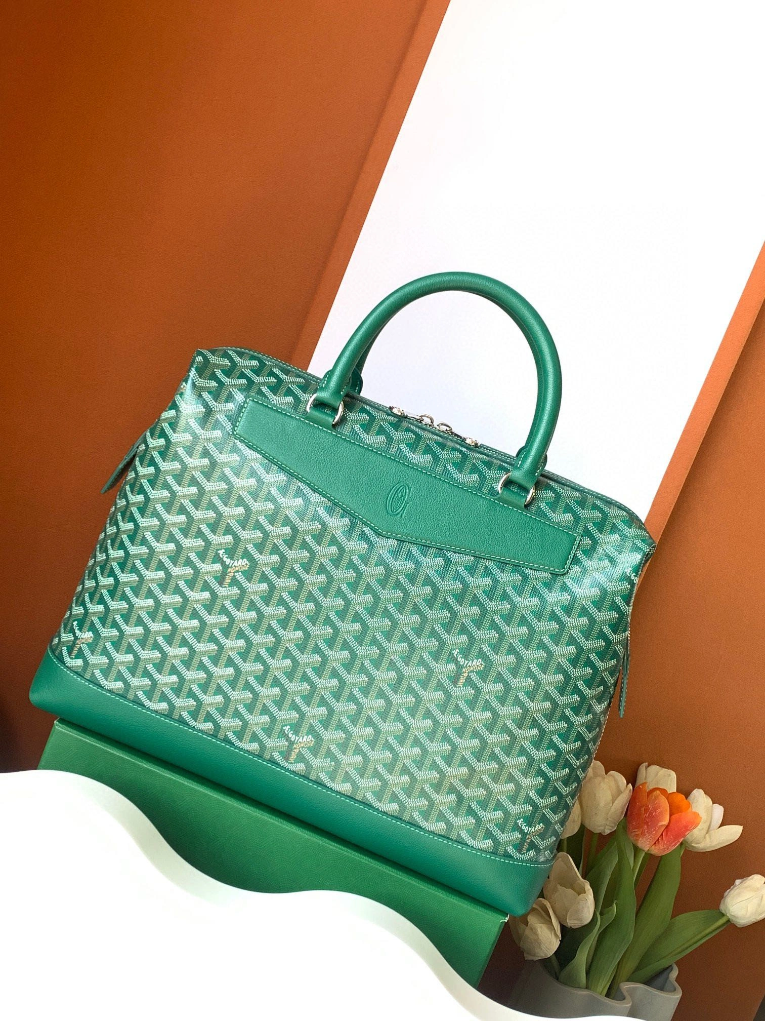 Goyard Briefcases Resilient 65119