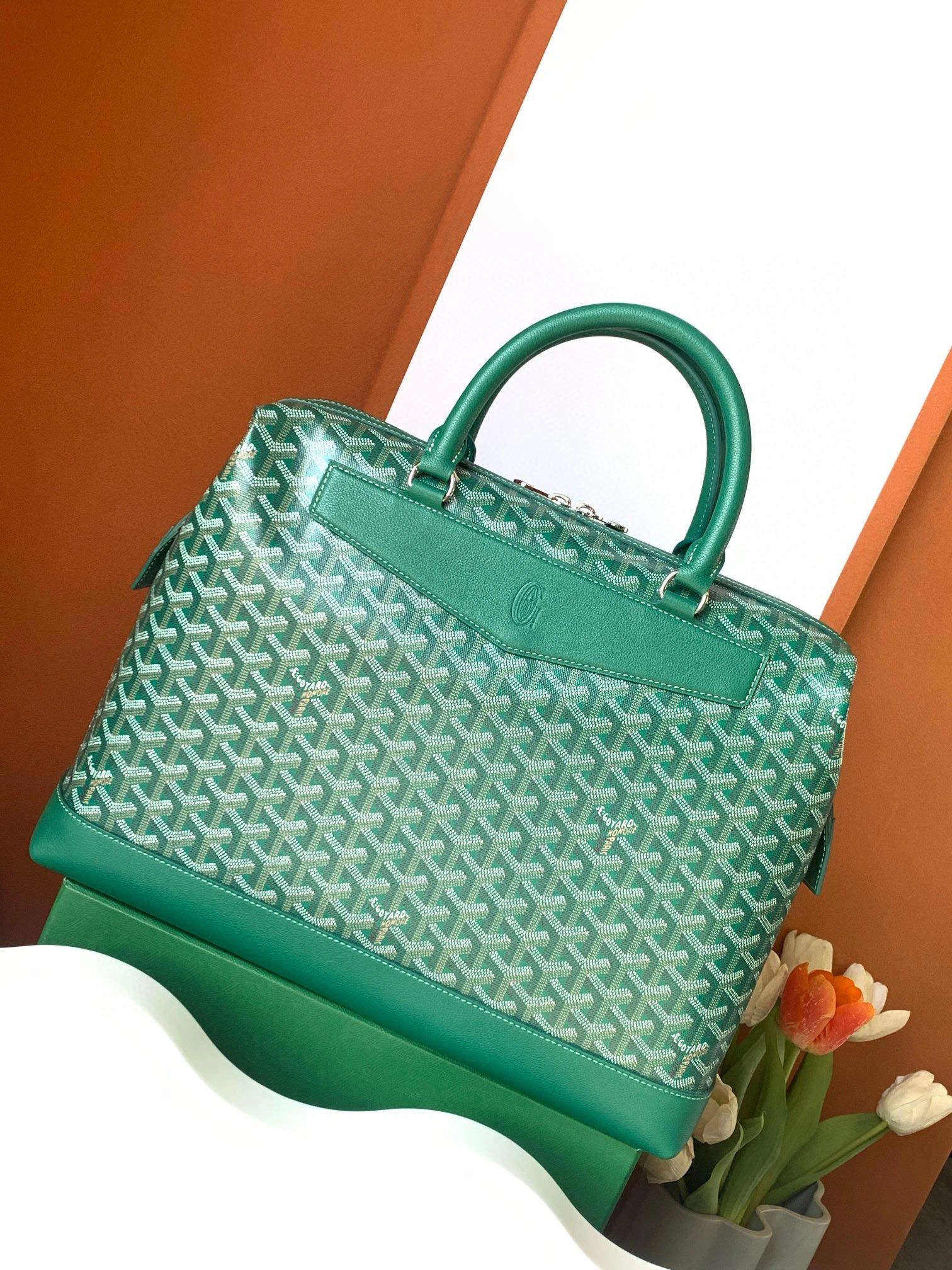 Goyard Briefcases Resilient 65119