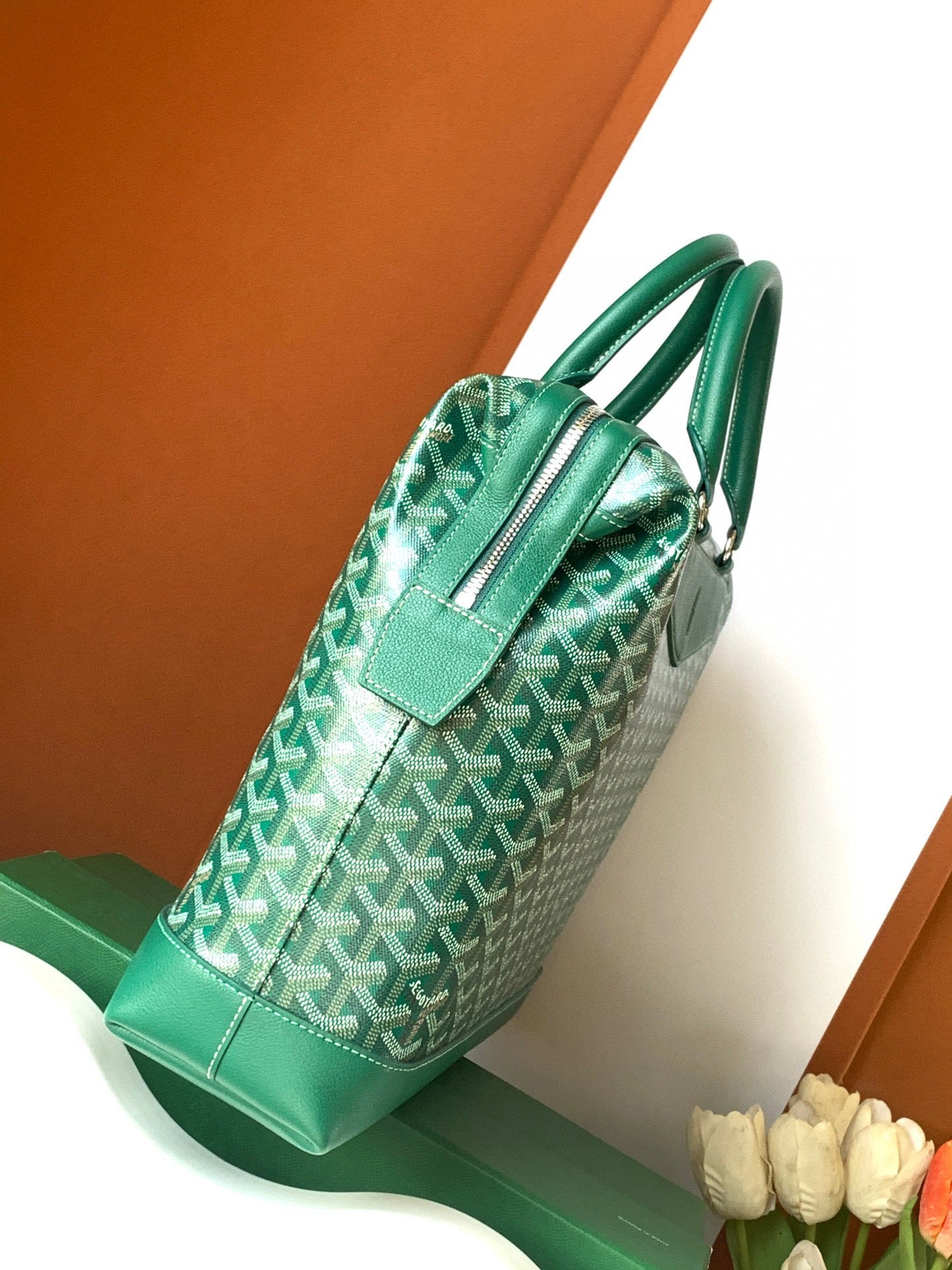 Goyard Briefcases Resilient 65119