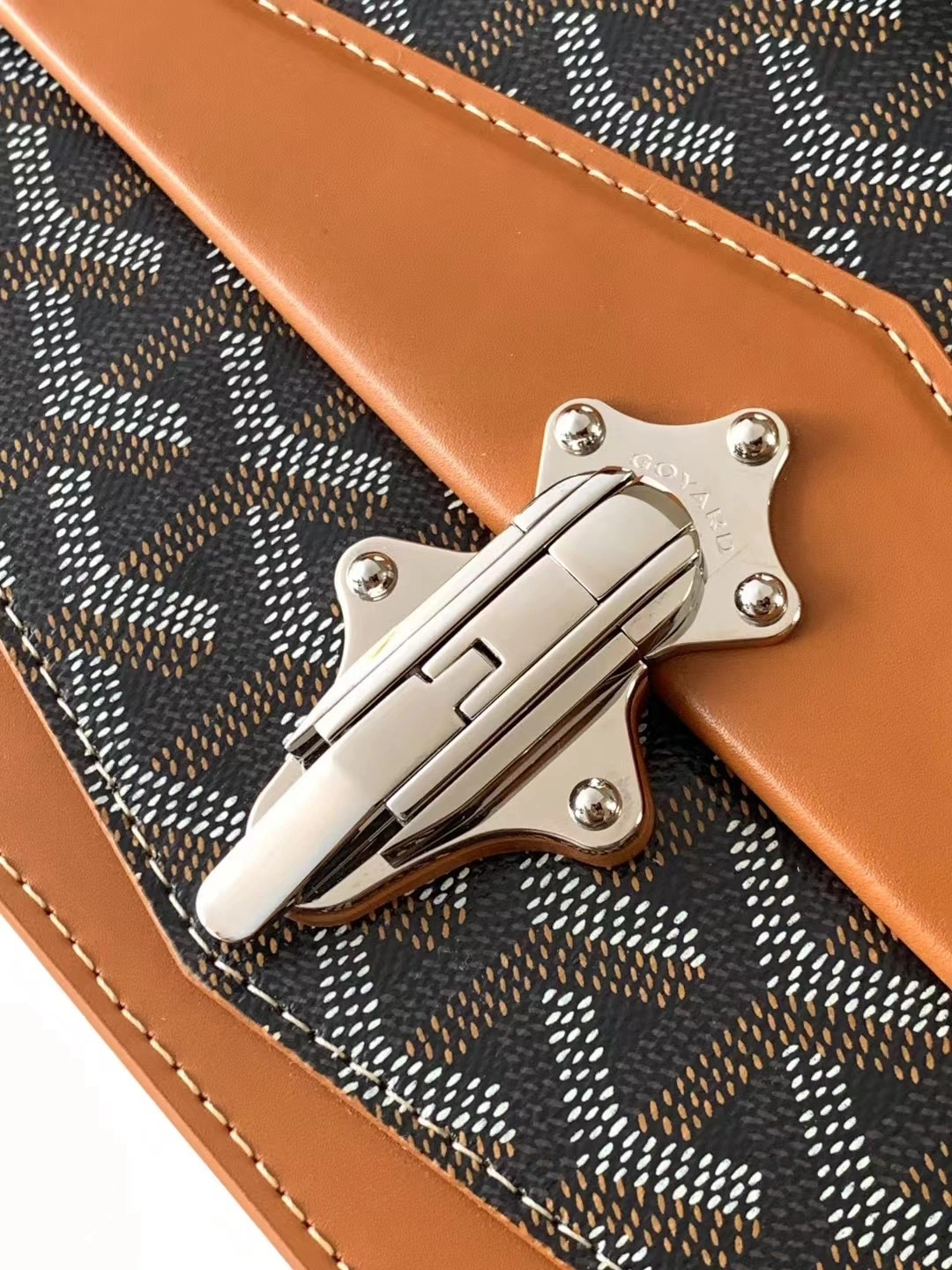 Goyard Satchel Bags Sustainable 65105