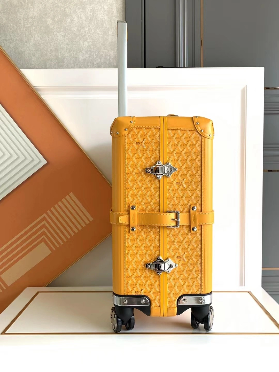 Goyard Suitcase Resilient 65045