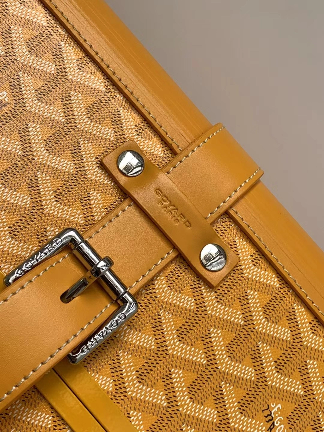 Goyard Suitcase Resilient 65045