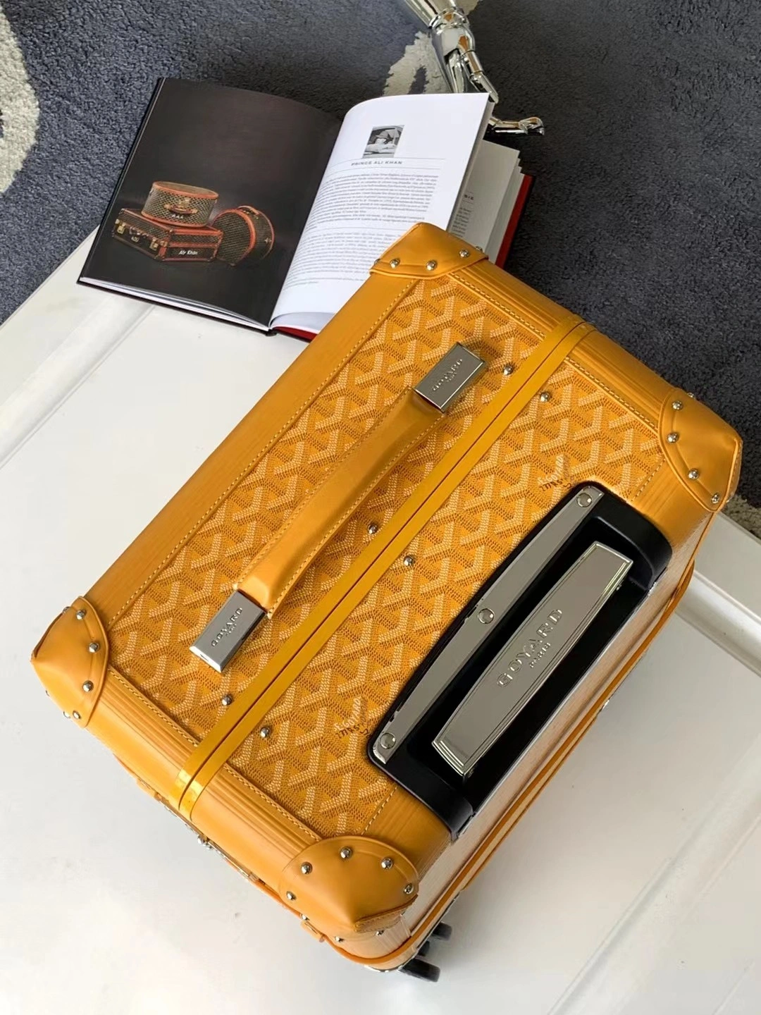 Goyard Suitcase Resilient 65045