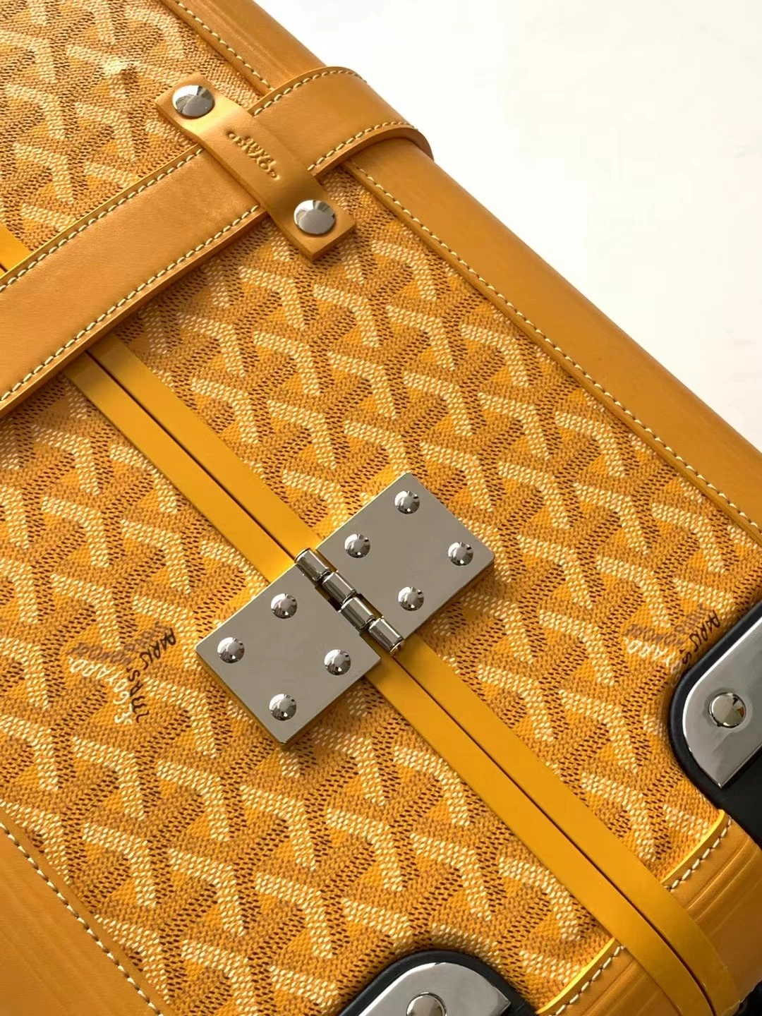 Goyard Suitcase Resilient 65045