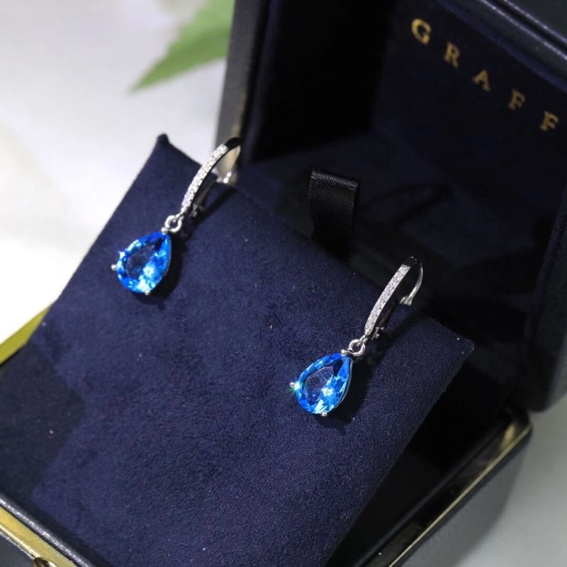 Seasonal Graff Earrings 213932