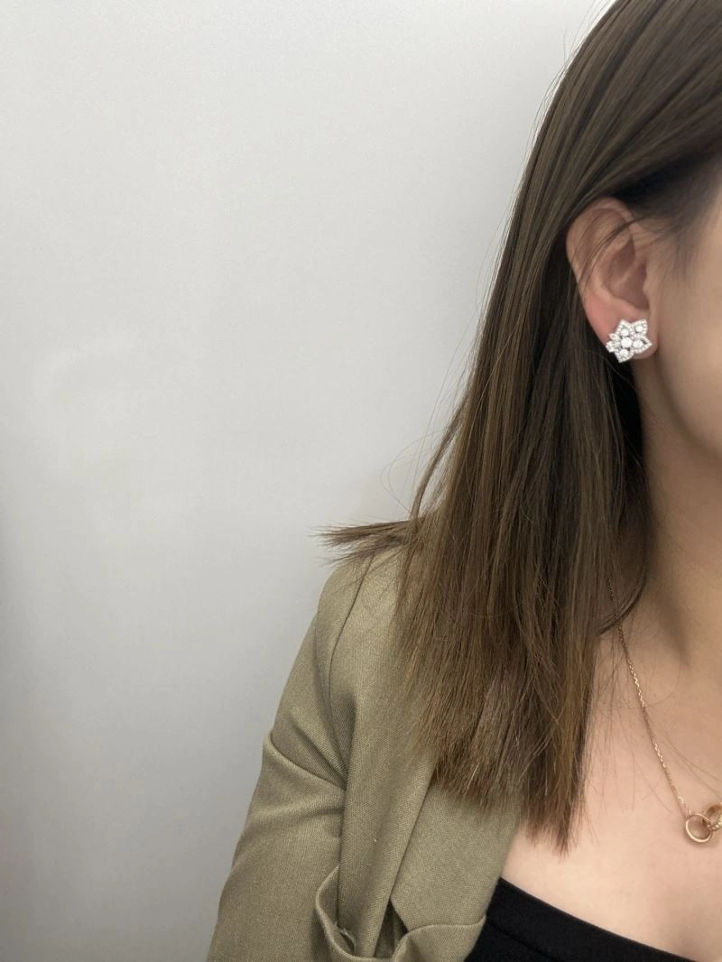 Stretchable Graff Earrings 213479