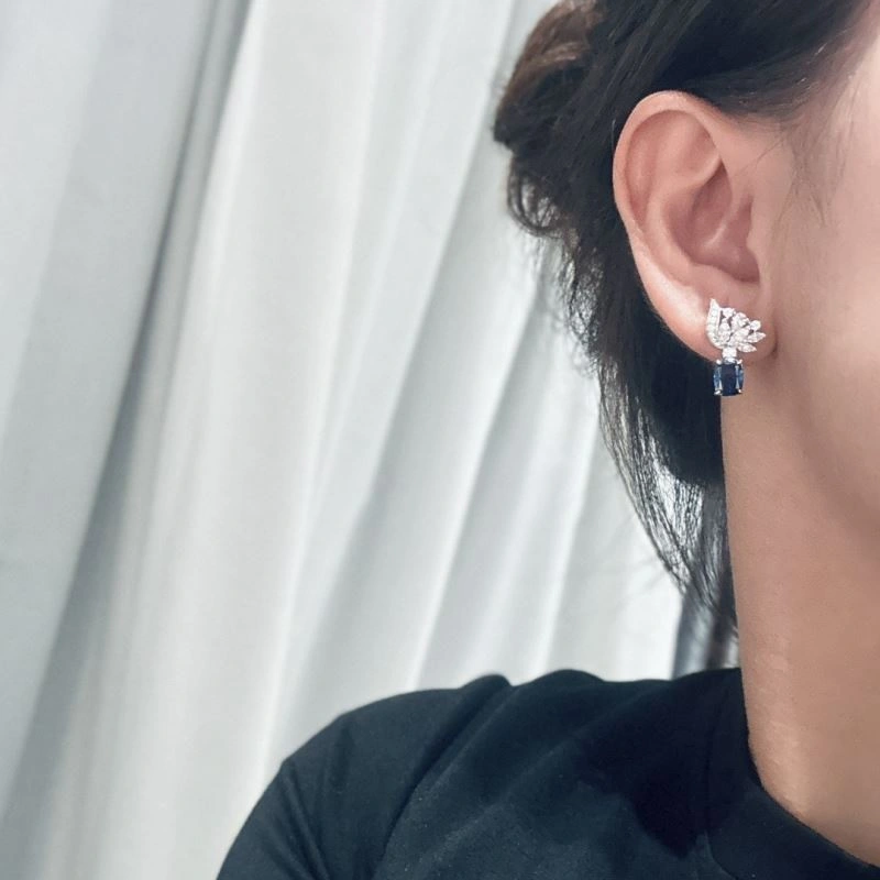 Graff Earrings EyeCatching 214215