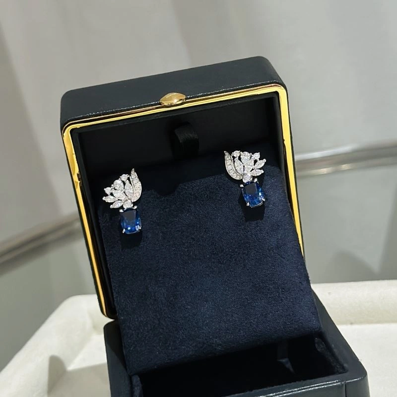 Graff Earrings EyeCatching 214215