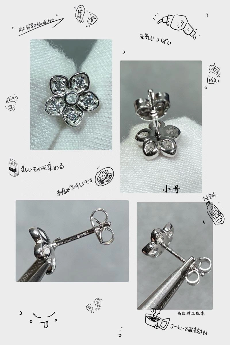 Graff Earrings Supportive 212040
