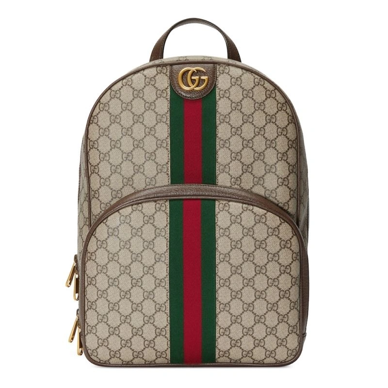Gucci Backpacks Effortless 73555
