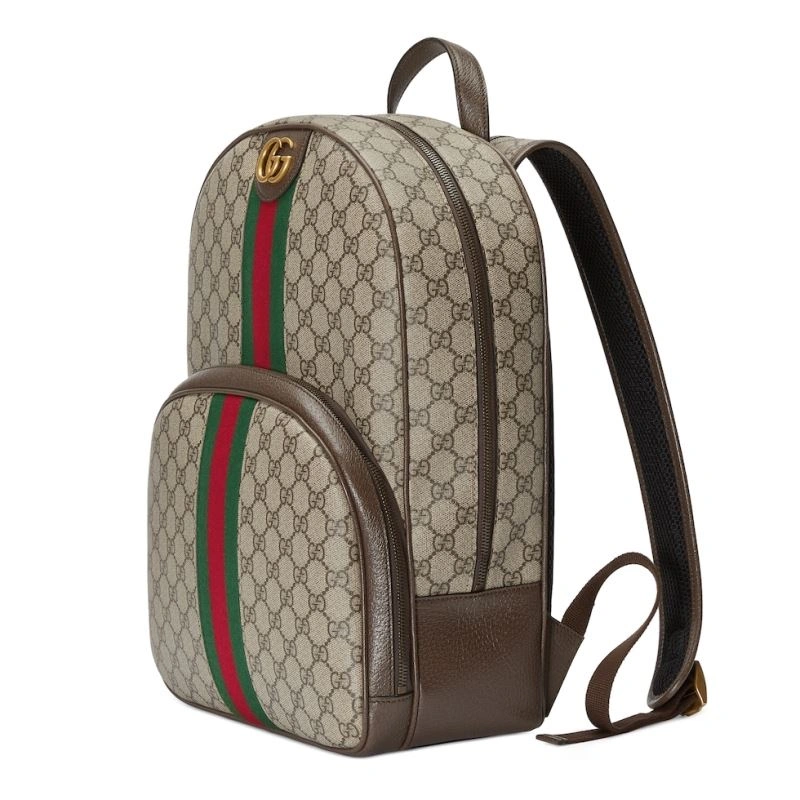 Gucci Backpacks Effortless 73555