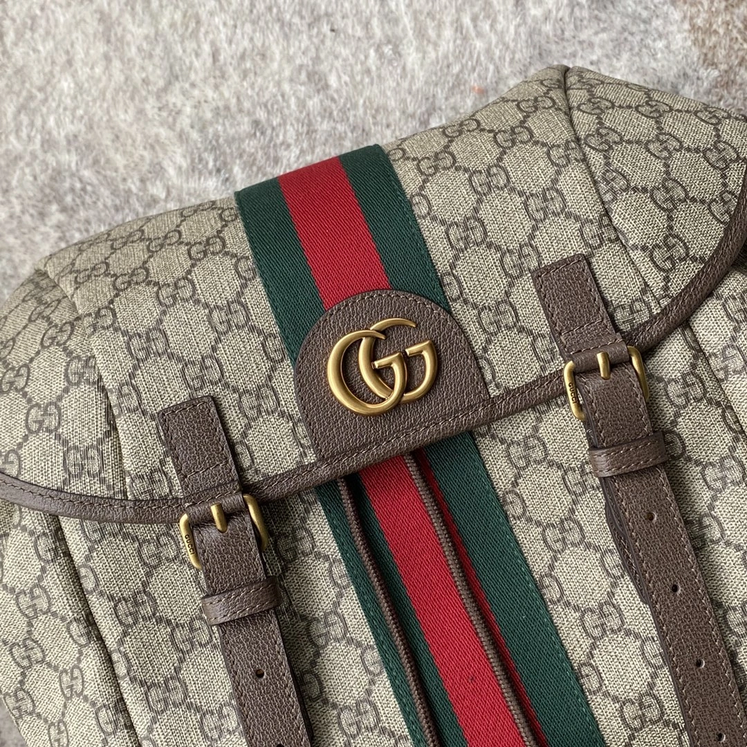 Sporty Gucci Backpacks 72487