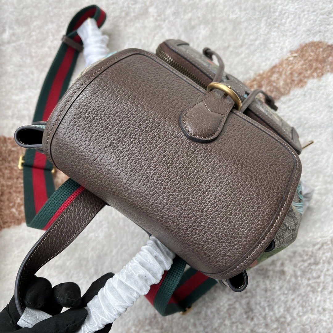 Gucci Backpacks TimelessDesign 72518