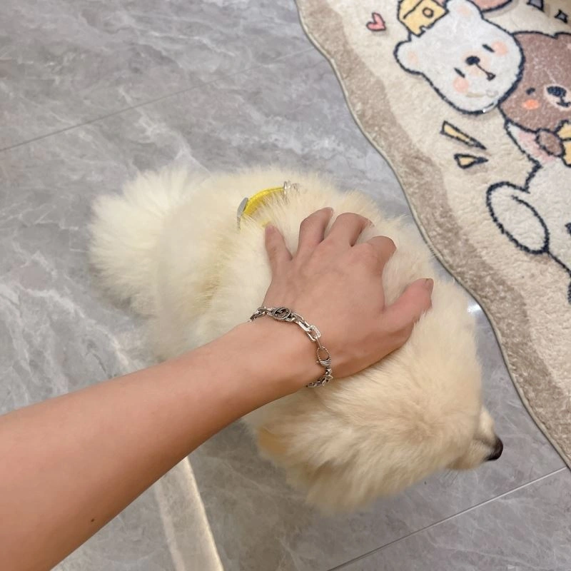 Snug Gucci Bracelets 246656