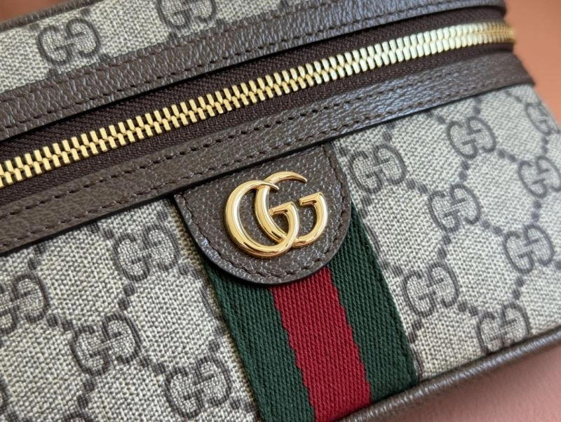 Effortless Gucci Cosmetic Bags 64864