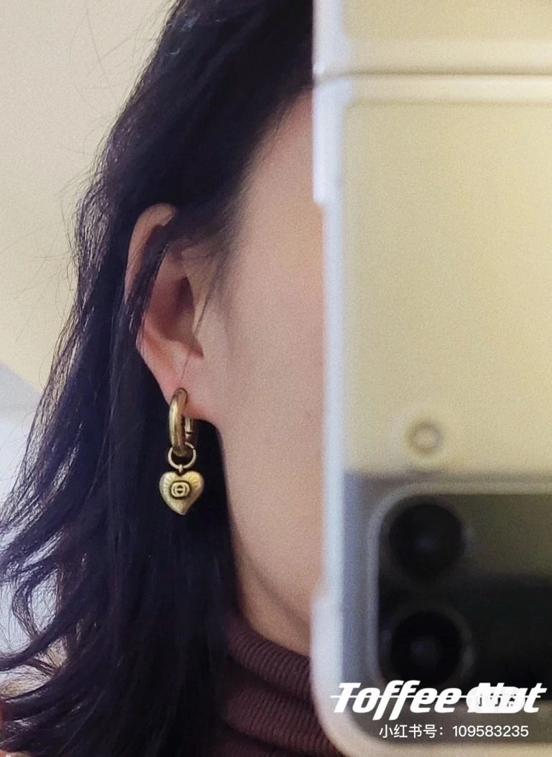 Chic Gucci Earrings 246009