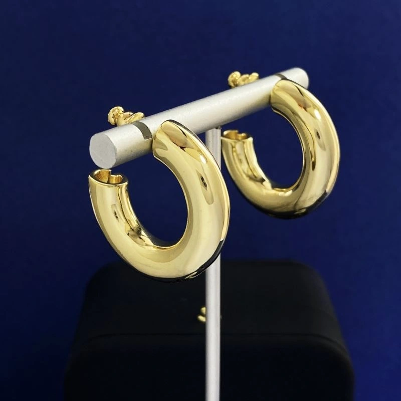 Gucci Earrings Resilient 245663