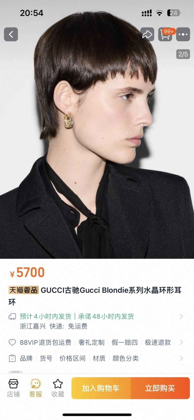 Gucci Earrings GoAnywhere 244312