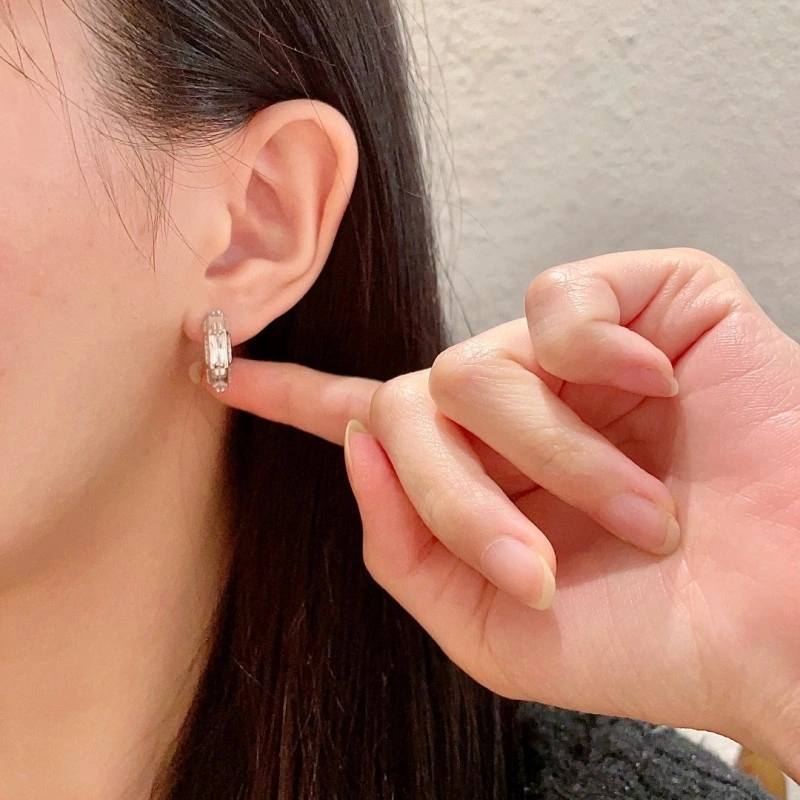 TravelReady Gucci Earrings 243185