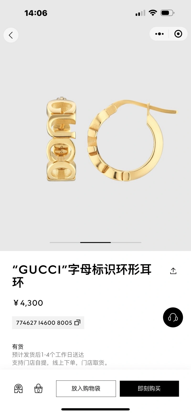 Upgraded Gucci Earrings 243123
