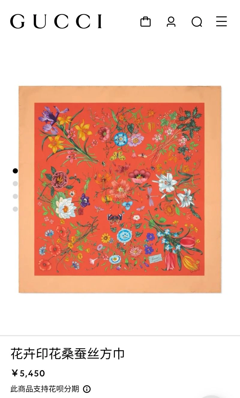 ModernLook Gucci Scarf 271797