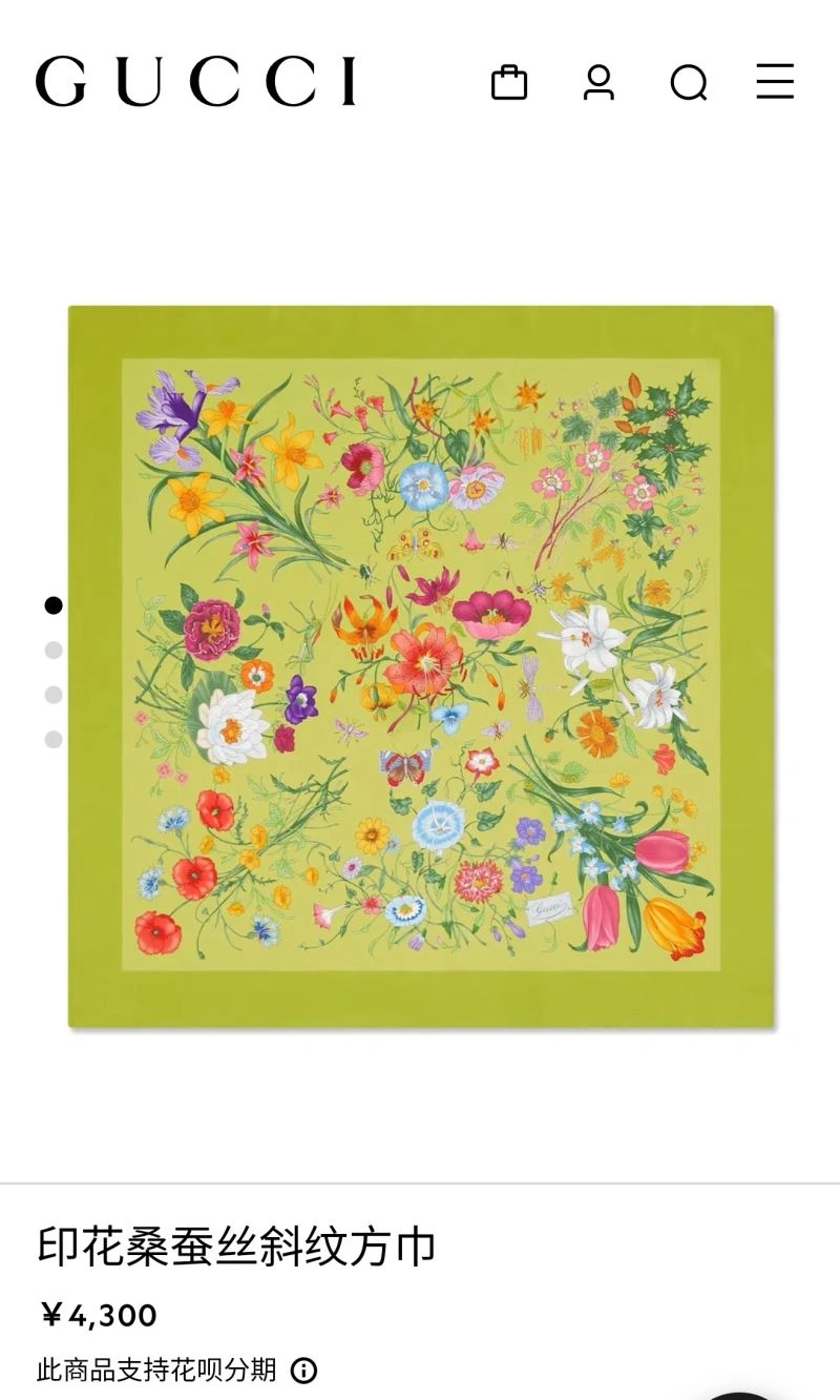 TimelessDesign Gucci Scarf 271804