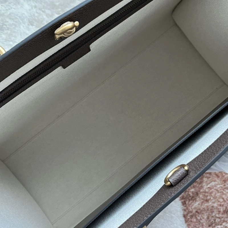 Chic Gucci Shopping Bags 77644