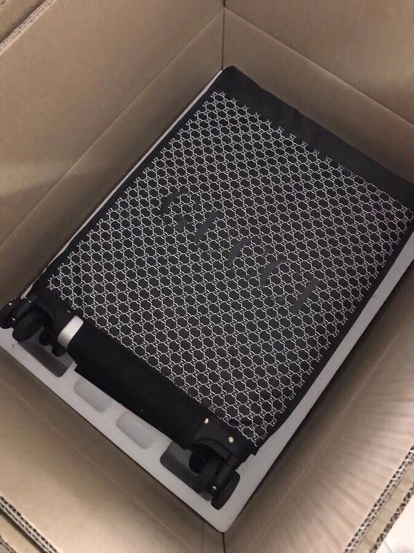 ZeroBulk Gucci Suitcase 69315