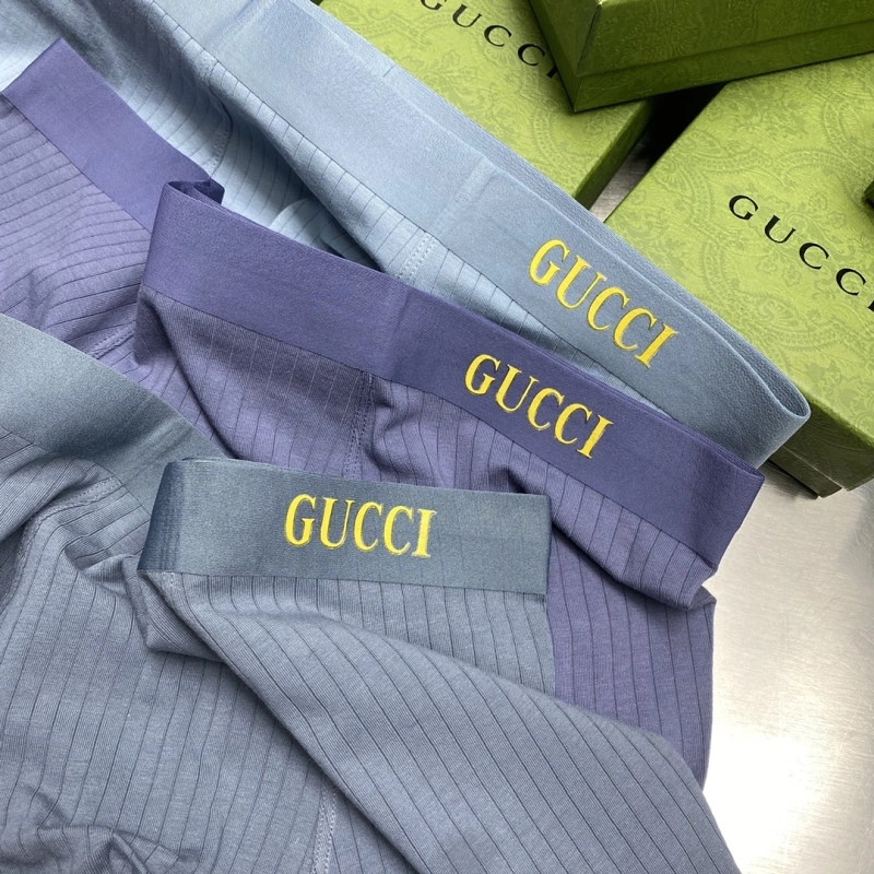 WellDesigned Gucci Underwear 276392