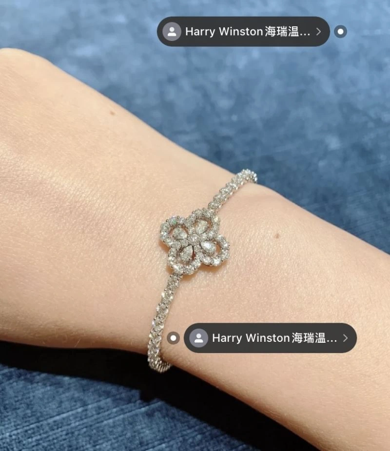 SunProtective Harry Winston Bracelets 211979