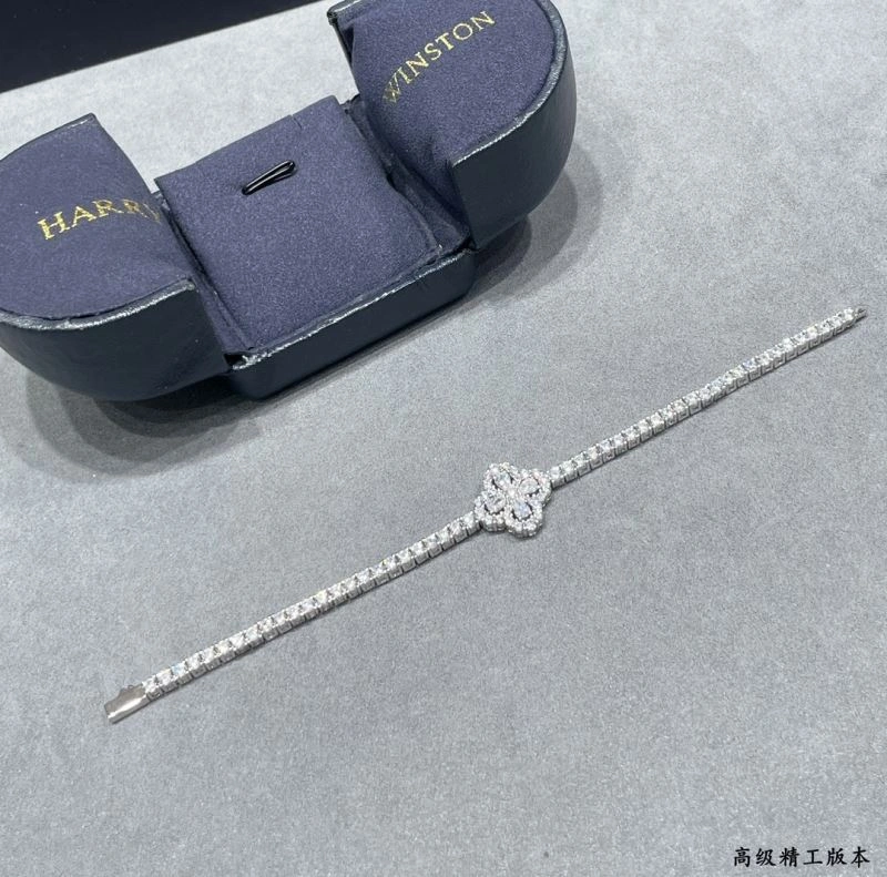 Harry Winston Bracelets FastDry 211981