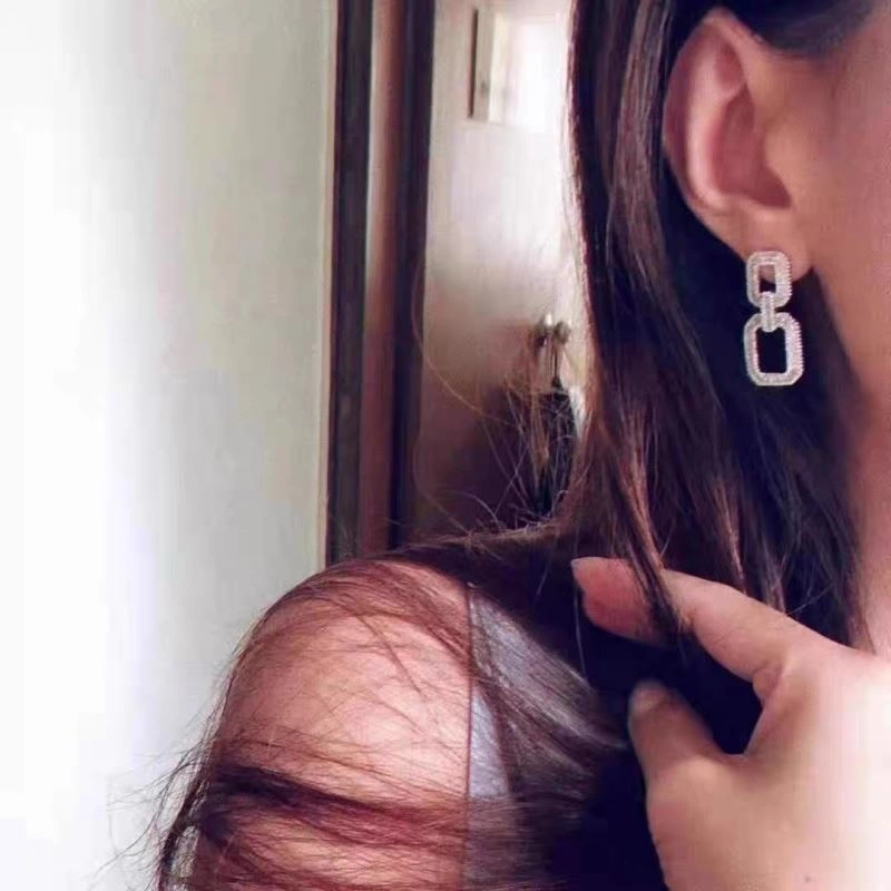 Harry Winston Earrings SmoothTexture 213456