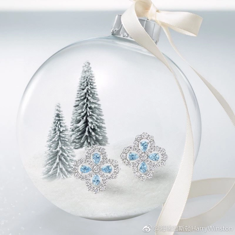 Packable Harry Winston Earrings 209764