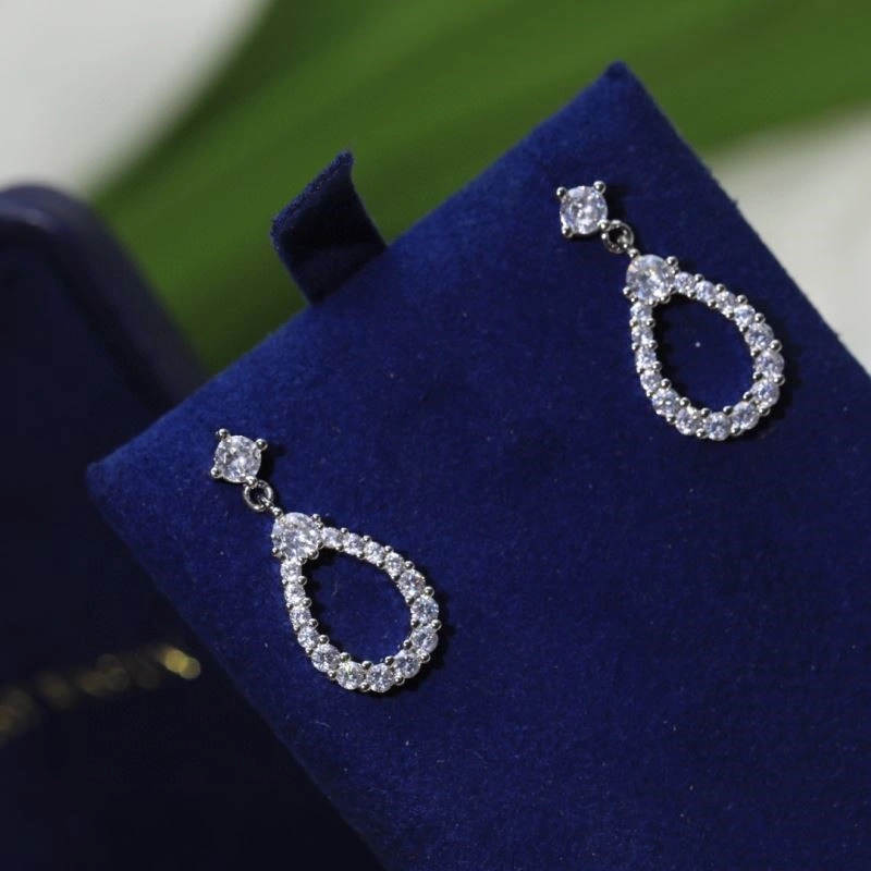 Practical Harry Winston Earrings 209751