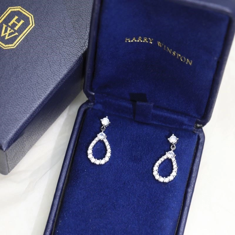 Practical Harry Winston Earrings 209751
