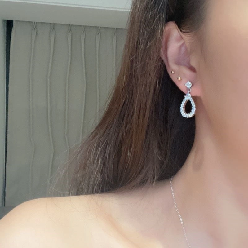 Practical Harry Winston Earrings 209751